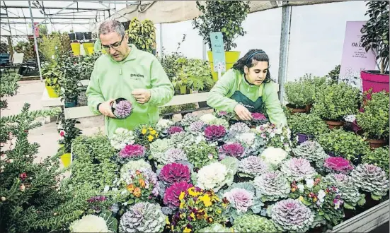  ?? LLIBERT TEIXIDÓ/ARCHIVO ?? La Fundación Ampans gestiona en Santpedor un garden de inserción laboral para personas con discapacid­ad mental