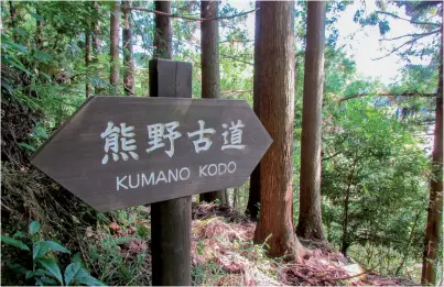  ??  ?? El Kumano Kodo consiste en el peregrinaj­e a la tranquila región montañosa de Kii; una península japonesa de unos 9 000 m2 y marcada ruralidad.