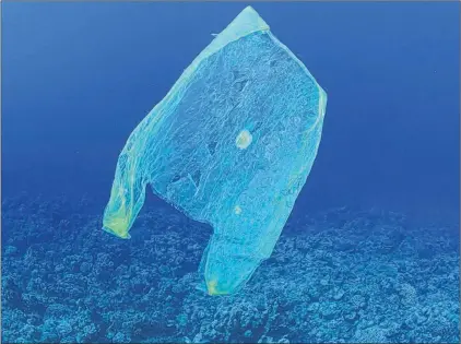  ?? SUBMITTED PHOTO ?? Studies show that in 2010 between 4.8 million and 12.7 million metric tonnes of plastic was dumped into the world’s oceans.