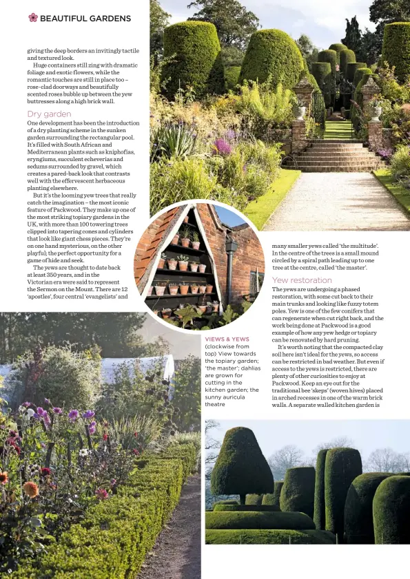  ??  ?? VIEWS & YEWS
(clockwise from top) View towards the topiary garden; ‘the master’; dahlias are grown for cutting in the kitchen garden; the sunny auricula theatre