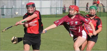  ??  ?? Flashback to last year’s Senior final as Mary Barrett (St. Martin’s) tries to hook Shelley Kehoe of Oulart-The Ballagh.