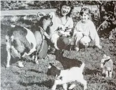  ??  ?? Vor 25 Jahren berichtete die WZ über einen Wurf von Vierlingen der Ziege „Meckie“in Laugna.