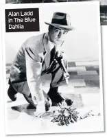  ??  ?? Alan Ladd in The Blue Dahlia