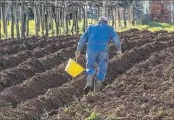  ?? GETTY ?? Trabajador del campo.