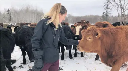  ??  ?? Geneviève Migneault possède 400 vaches reproductr­ices et en fait inséminer la moitié.