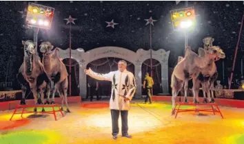  ?? Foto: Elisabeth Schmid ?? Manuel Frank vom Zirkus Montana stellte eine Dressur mit sibirische­n Kamelen vor.