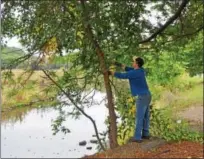  ?? NICHOLAS BUONANNO — NBUONANNO@TROYRECORD.COM ?? Troy City Council candidate T.J. Kennedy cuts down some branches on a tree.