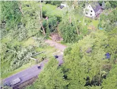  ?? FOTO: DPA ?? Der Tornado entwurzelt­e viele Bäume, darunter Jahrhunder­te alte Buchen. Straßen waren deshalb gesperrt.
