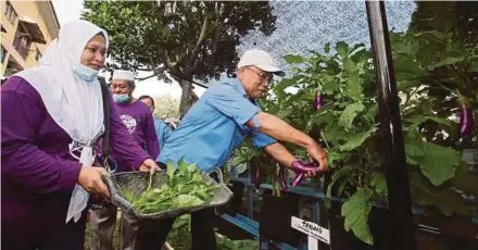  ?? (Foto Eizairi Shamsudin/bh) ?? Kiandee (kanan) ketika lawatan ke program projek pertanian bandar di Perumahan Awam Seri Perlis 2, Jalan Datuk Keramat, Kuala Lumpur, semalam.