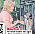  ?? ?? Elszántság
Kovács Violetta, az alapítvány vezetője rajong ezekért a fajta kutyákért, 40-50 egyed van náluk