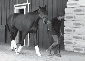  ?? LLOYD FOX/TNS ?? Kentucky Derby winner Medina Spirit walks around the Stakes Barn with assistant trainer Jimmy Barnes after arriving at Pimlico Race Course Monday.