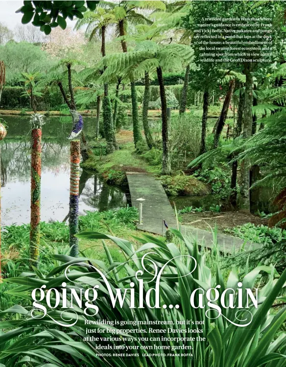  ??  ?? A rewilded garden in Waikanae where nature’s guidance is embraced by Frank and Vicki Boffa. Native pukatea and ponga are reflected in a pond that laps at the deck of the house; a beautiful embodiment of the local swamp forest ecosystem and a calming spot from which to view native wildlife and the Geoff Dixon sculpture.