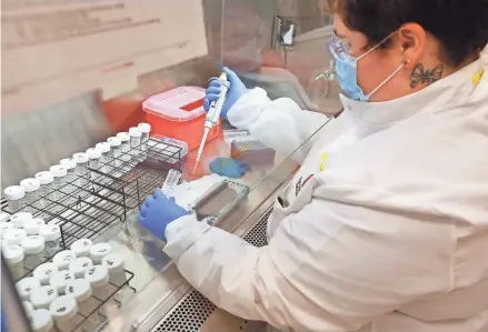  ?? DORAL CHENOWETH/COLUMBUS DISPATCH ?? Staff research assistant Janelle Gabriel takes student saliva samples from plastic vials to a plate, where they interact with enzymes. This is one of the first steps in the COVID-19 testing at the Ohio State University’s Applied Microbiolo­gy Services Laboratory on the university’s medical campus.