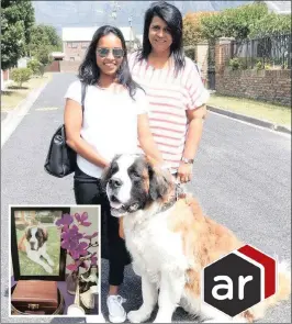  ??  ?? Theodore, famous for sparking a Mount Edgecombe estate wrangle, with his owner, Rita Abraham, and her daughter, Nicolene Pillay, at the Cape Town home where he went to stay for a while. When he was brought back to uMhlanga, he was badly hurt in an...