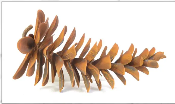  ??  ?? Pine Cone - Floyd Elzinga - Whistler Contempora­ry Gallery