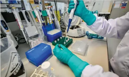  ?? Photograph: Ben Birchall/PA ?? A virologist preparing a solution at Porton Down, where an infected ferret bit through a scientist’s clothing.