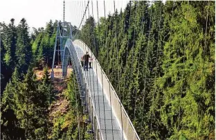  ??  ?? Mutprobe: 380 Meter lang und rund 65 Meter hoch ist die Hängebrück­e WildlIne.