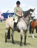  ??  ?? Frances Goodsir’s Sydserff Golden Wych Elm takes M&M working hunter pony honours