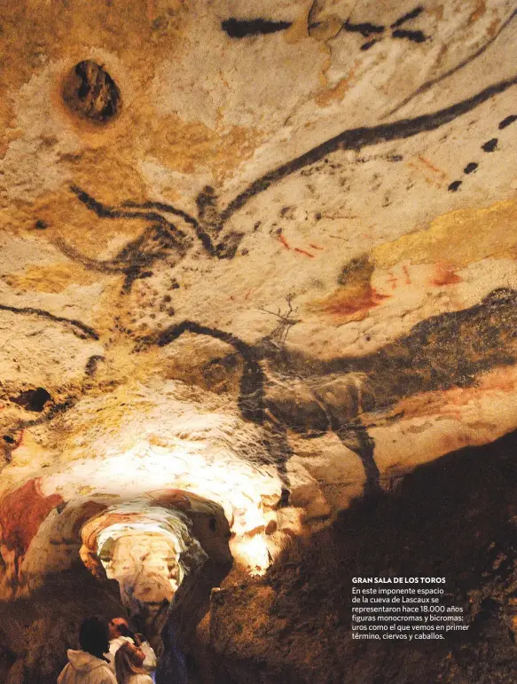  ??  ?? GRAN SALA DE LOS TOROS
En este imponente espacio de la cueva de Lascaux se representa­ron hace 18.000 años figuras monocromas y bicromas: uros como el que vemos en primer término, ciervos y caballos.