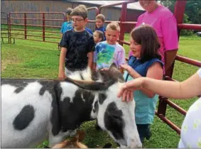  ?? PHOTO COURTESY JULIET MALOFF ?? Children take part in Summer at Skanda, a summer youth program at Haven at Skanda that brings together endangered and abused animals with low-income and at-risk youths