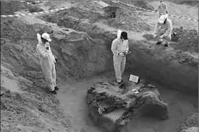  ??  ?? Forensic specialist­s at the mass grave. (Photo:tabadul)