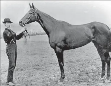  ?? PHOTO COURTESY OF THE NATIONAL MUSEUM OF RACING AND HALL OF FAME ?? the $1,000 First Sweepstake­s was Miss Woodford’s final race. she came up lame and was sold to Dwyers to James Ben Ali Haggin. In al,, Miss Woodford ran 48 times with a record of 37-7-2.