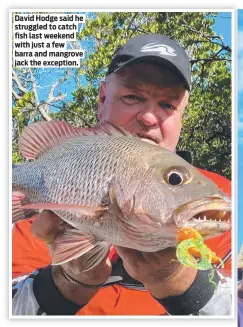  ?? ?? David Hodge said he struggled to catch fish last weekend with just a few barra and mangrove jack the exception.