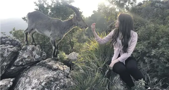  ?? Foto: Ökoreserva­t ?? Das Naturreser­vat bot Familien und Kindern ein tolles Erlebnis.