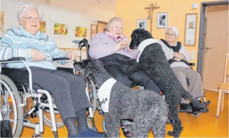  ?? FOTO: ANGELIKA PRINZ ?? Den Hunden Leckerchen zu geben macht beiden Parteien Spaß.