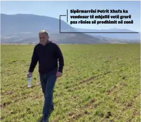  ?? ?? Sipërmarrë­si Petrit Xhafa ka vendosur të mbjellë vetë grurë pas rënies së prodhimit në zonë