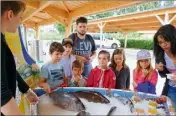  ??  ?? les enfants étaient dubitatifs devant le stand des poissons.