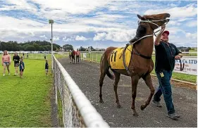  ?? ?? The sun, horses, trainers and crowds were back at New Plymouth Raceway at the weekend in what the Taranaki Racing club boss hopes augurs well for the season.