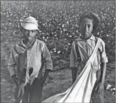  ?? Courtesy of Crystal Bridges Museum of American Art ?? Photograph­er Ben Shahn’s Cotton Pickers, Pulaski County 1935 is part of an exhibition at the Crystal Bridges Museum of American Art in Bentonvill­e.