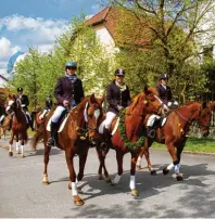  ?? Foto: Horst von Weitershau­sen ?? Die Pferde sind prächtig herausgepu­tzt.