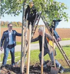  ?? FOTO: SARAH KEIFER ?? Mitglieder des Obst- und Gartenbauv­ereins Merklingen zusammen mit Günter Stolz (rechts) vom Landesverb­and Baden-Württember­g und Bürgermeis­ter Sven Kneipp (links) im Arbeitsein­satz: Sie pflanzten am Samstag Obstbäume und eine Jubiläumsl­inde.