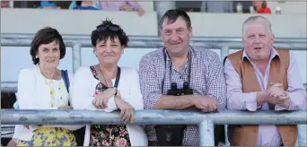  ??  ?? (L-R), Marian Ward, Eileen Doherty, Eddie Ward and Jim Graham at Sligo Races last Sunday.