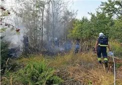  ?? FOTO: NORMAN MEIßNER ?? Ein Waldbrand bei Ruhla im vergangene­n Jahr. 2020 war das bislang schadensre­ichste Waldbrandj­ahr in Thüringen.