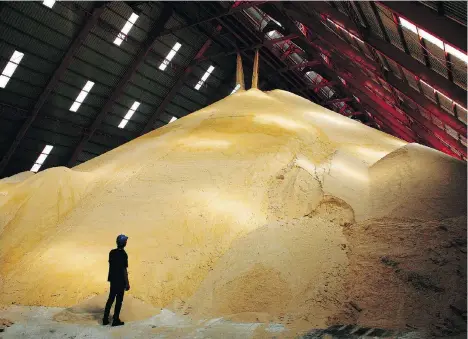  ?? DARIO PIGNATELLI/BLOOMBERG FILES ?? A worker stands next to a pile of raw sugar at a factory in Baan Rai, Thailand. Despite the U.S.-led push for freer trade that followed the Second World War, U.S. sugar protection­s have remained in place. U.S. prices are said to be twice those of the world market.