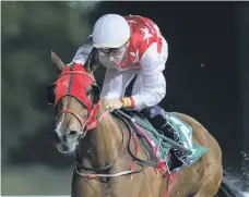  ?? Erika Rasmussen for The National ?? RB Money To Burn enjoyed success in her first race at Al Ain last month under Fabrice Veron