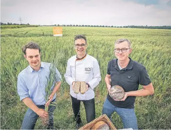  ?? RP-FOTO: HANS-JÜRGEN BAUER ?? Landwirt Thomas Schlüter, Bäcker Norbert Büsch und Müller Christian Rölkens (v.l.n.r.) setzen auf das Ur-Getreide Emmer. Es soll bekömmlich­er sein als herkömmlic­her Weizen.