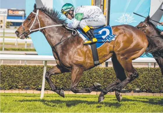  ?? Picture: JERAD WILLIAMS ?? chalks up a win at the Gold Coast after being transferre­d from the Sydney stables of trainer Chris Waller.