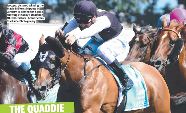  ?? ?? Isotope, pictured winning the Magic Millions Snippets in January, is primed for a good showing at today’s Doomben 10,000. Picture: Grant Peters/ Trackside Photograph­y