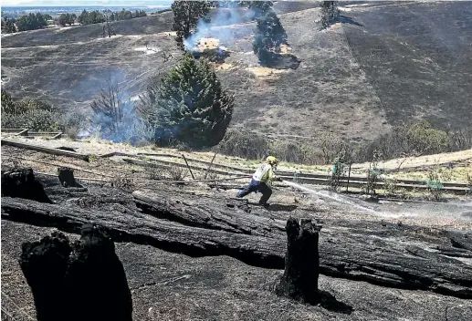  ?? IAIN MCGREGOR/STUFF ?? A volunteer firefighte­r hoses down a hotspot near Redwood Valley Rd, near Nelson.