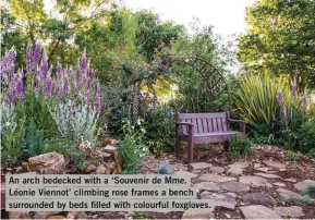  ?? ?? An arch bedecked with a ‘Souvenir de Mme. Léonie Viennot’ climbing rose frames a bench surrounded by beds filled with colourful foxgloves.