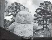  ?? Doug Walker / RN-T ?? A stuffed critter honors the eaglet that fell out of the nest Thursday night and was not able to survive the fall. The nest is visible in the background, to the upper left of the stuffed critter.