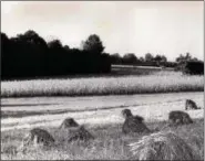  ??  ?? PA Dutchman turned Pennsylvan­ia into America’s largest breadbaske­t.