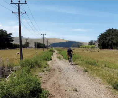  ??  ?? Below: The trail goes through flat farm land and sometimes alongside sheep.