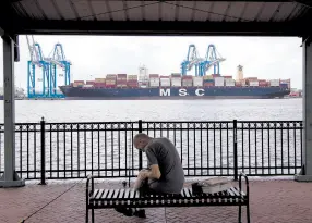  ??  ?? • El barco carguero MSC Gayane transporta­ba 15 toneladas de cocaína.