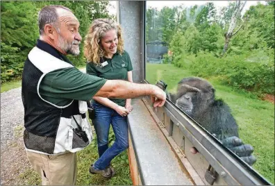  ?? HYOSUB SHIN / HSHIN@AJC.COM PHOTOS ?? Mike Seres (left), manager of chimpanzee socializat­ion, and Ali Crumpacker, executive director, greet a male chimp, Marlon, at Project Chimps in Morganton earlier this month. Project Chimps provides lifetime care to former research chimpanzee­s in a sanctuary on 236 acres of forested land in the Blue Ridge Mountains.