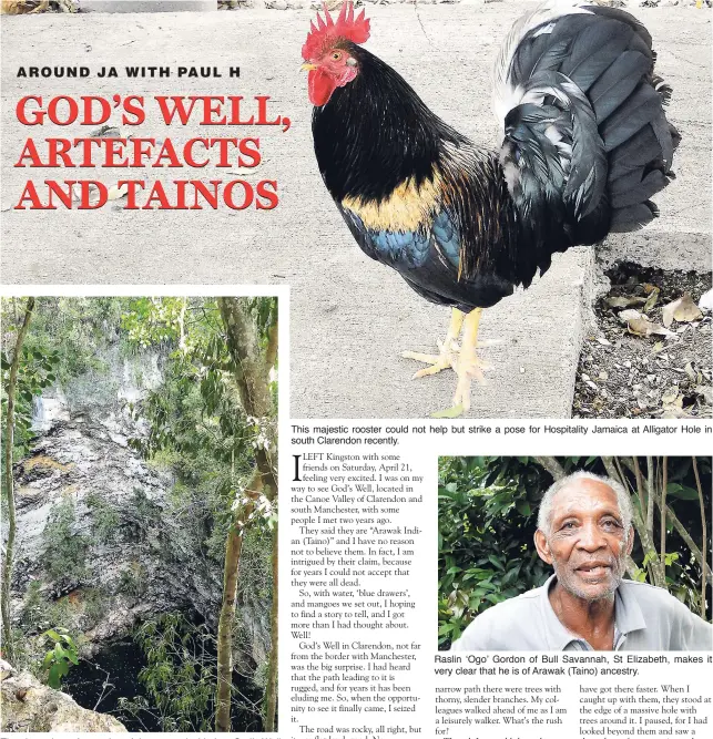  ??  ?? The sheer drop of a section of the mountainsi­de into God’s Well in the Clarendon section of Canoe Valley. This majestic rooster could not help but strike a pose for Hospitalit­y Jamaica at Alligator Hole in south Clarendon recently. Raslin ‘Ogo’ Gordon...
